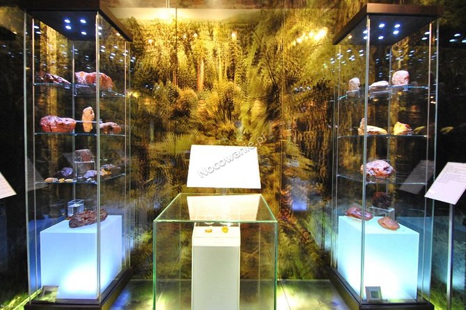Private Tour of Gdansk Old Town for Kids and Families - Adding the Amber Museum in 3 hours: facts, play, and real objects