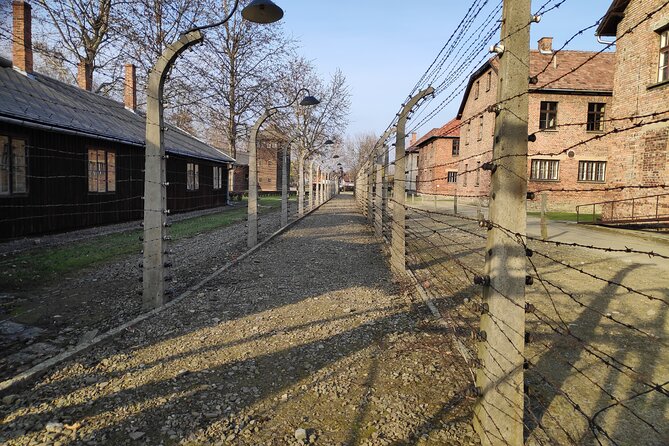 Private Tour to Auschwitz Birkenau & Salt Mine in One Day - Practical tips: bags, dressing for weather, and staying memorial-appropriate