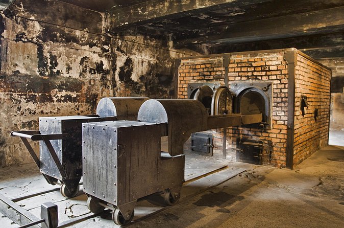 Private Tour to Auschwitz Birkenau & Salt Mine in One Day - Price and value: what $192.66 buys you, and when it feels worth it
