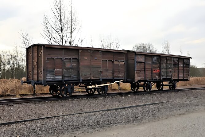Private Van Auschwitz Birkenau Tour - Private Van Value: Comfort, Control, and a Much Easier Day
