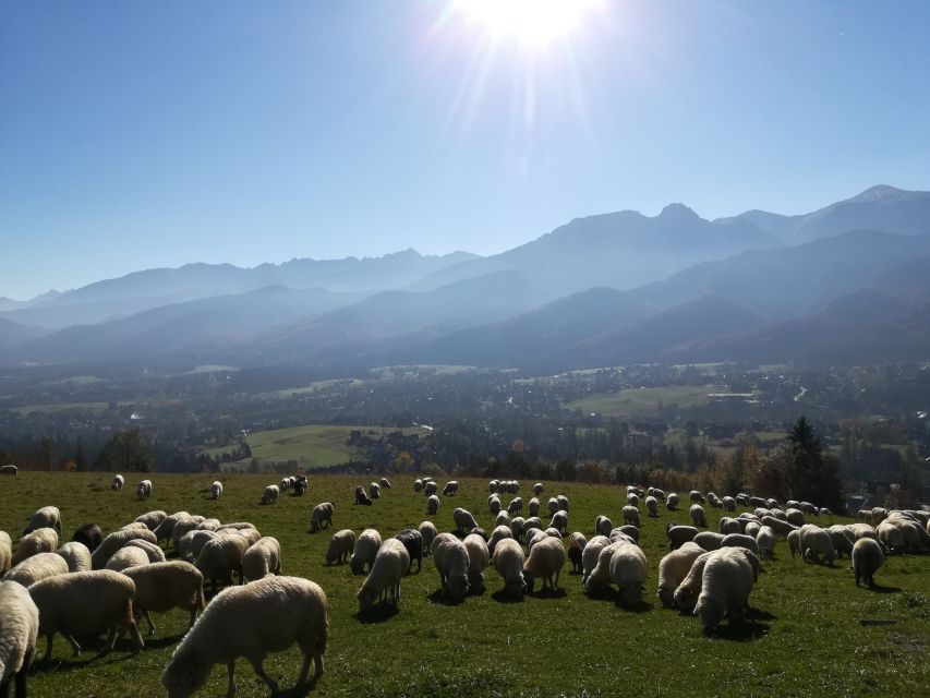 Rafting on Dunajec & Zakopane Tour – Day Trip from Krakow - Key things that make this day trip work