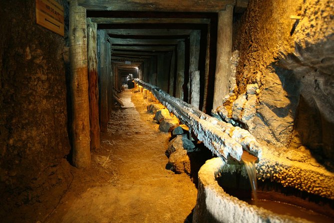 Salt Mine Wieliczka with Private Car from Krakow - Who This Tour Fits Best in Your Krakow Plan