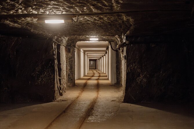 Skip the line ticket Wieliczka Salt Mine Guided Tour - Price and value: is $65.91 fair for this experience?