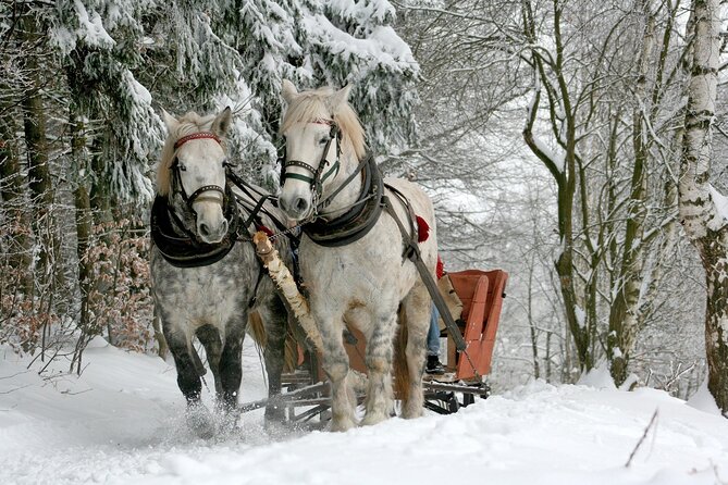 Sleigh Ride & Bonfire in Zakopane with Funicular - Private Trip - Key highlights worth planning for