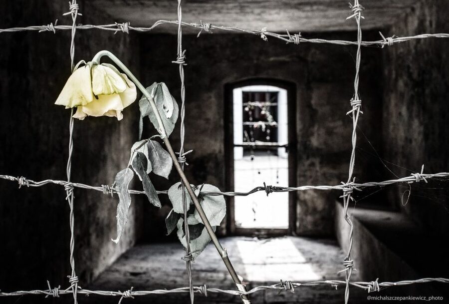 Stutthof Concentration Camp Half-Day Private Tour - Gas chambers and the crematorium, how the tour handles the darkest parts