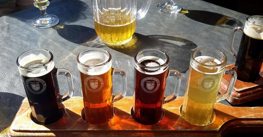 Szczecin Polish Beer and Food Tasting Private Tour - The Beer Lineup: Popular, Regional, Craft, and Portion Planning
