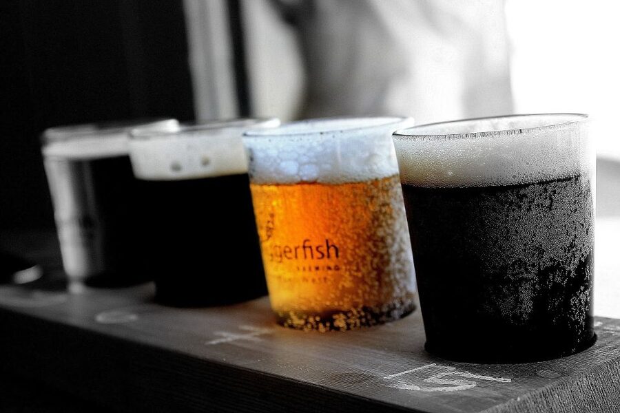 Szczecin Polish Beer and Food Tasting Private Tour - Who This Tour Fits Best in Szczecin