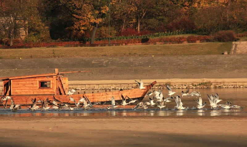 Toruń: Sightseeing Cruises on the Vistula River - Toruń From the Middle of the Vistula River: What Makes It Special