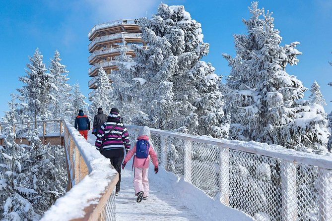 Treetop Walk in Slovakia and Thermal Baths from Krakow - A full-day Slovakia loop: treetops first, hot springs after