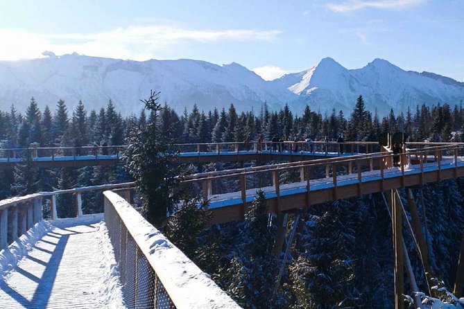 Treetop Walk in Slovakia and Thermal Baths from Krakow - Who this tour fits best (and who might not love it)
