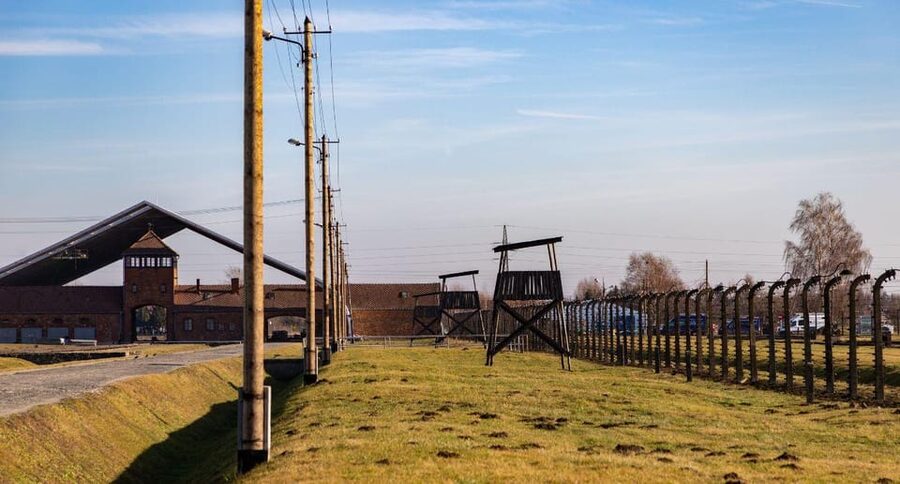 Vienna: Auschwitz Birkenau Full-Day Tour w/ Hotel Transfers - Timing, Lunch Window, and How to Pace Your Emotions