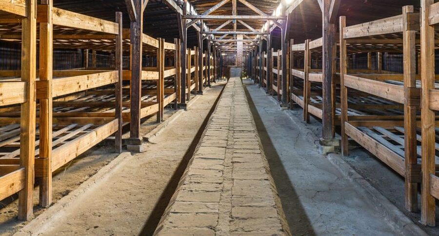 Vienna: Auschwitz Birkenau Full-Day Tour w/ Hotel Transfers - Price Check: Is $666 Worth It for a 15-Hour Auschwitz Day?