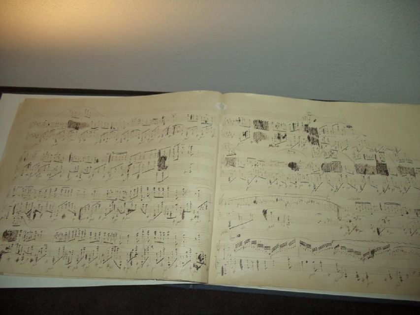 Warsaw: Half-Day Private Chopin Tour to Zelazowa Wola - A Chopin-focused route that actually makes sense in half a day