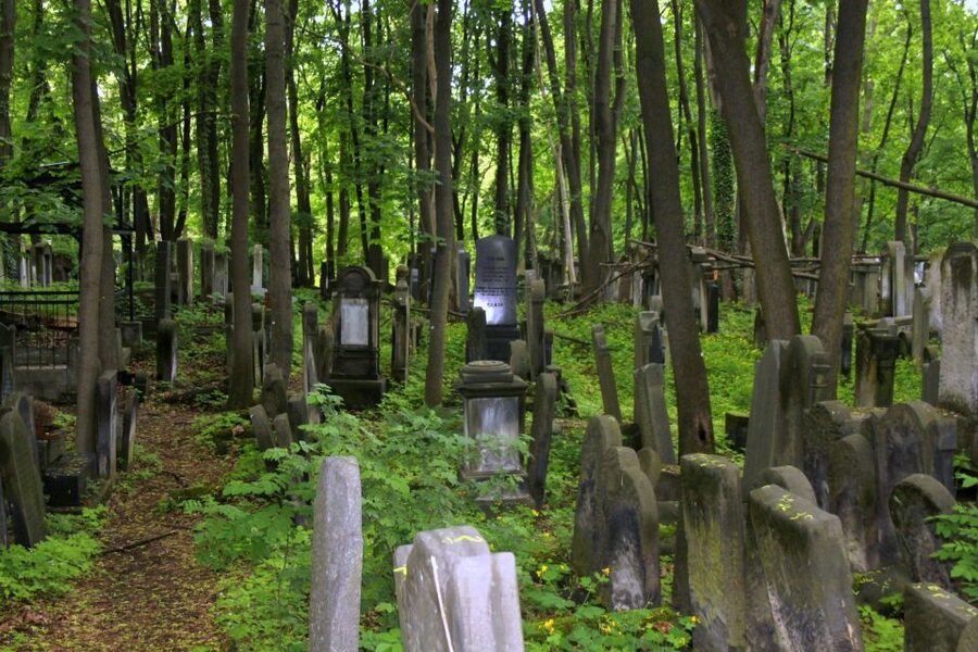Warsaw Jewish Heritage Private Tour in Retro Fiat - Jewish Cemetery: thousands of graves, and how to pace the walk