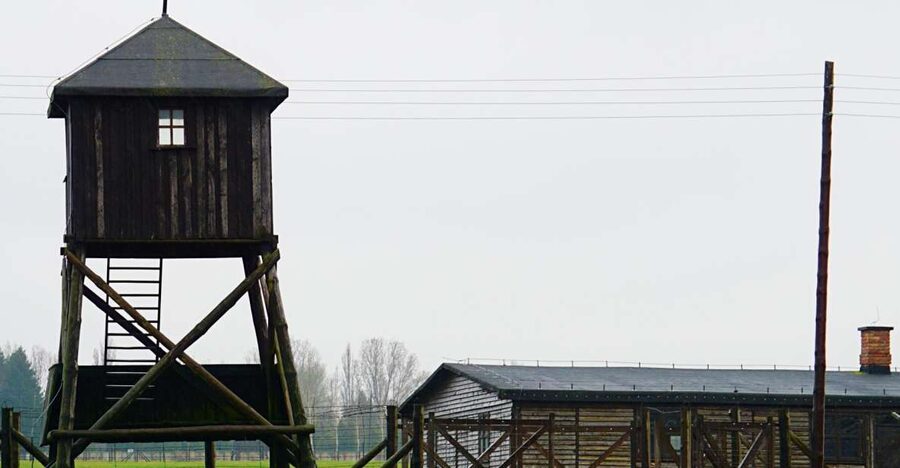 Warsaw: Majdanek Concentration Camp & Lublin Guided Day Tour - The road to Lublin: how the day actually feels