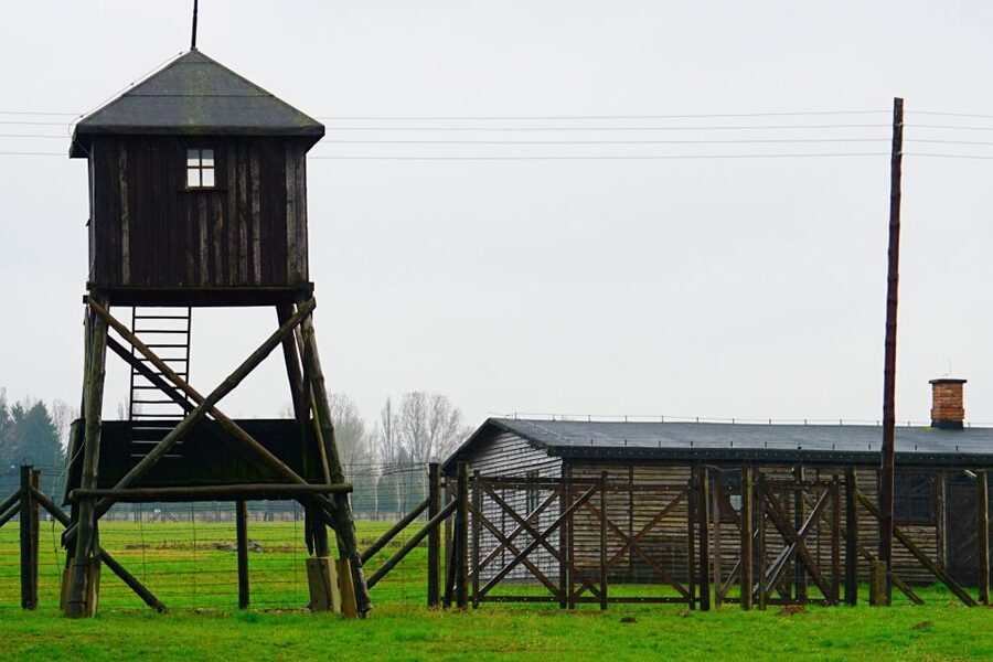 Warsaw: Majdanek Concentration Camp & Lublin Guided Day Tour - The special value of a private guide (and why Marcin matters)