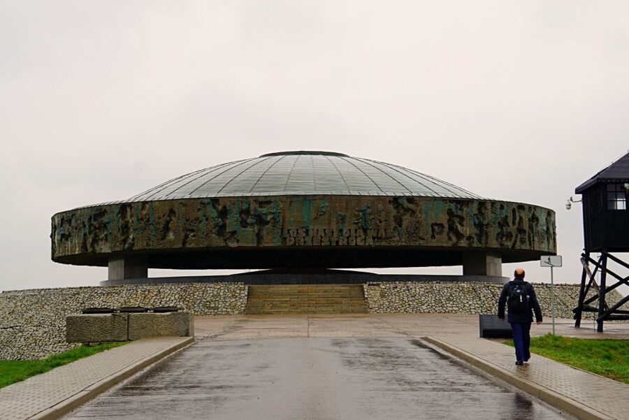 Warsaw: Majdanek Concentration Camp & Lublin Guided Day Tour - The Mercedes van setup and pacing: comfort for a long day