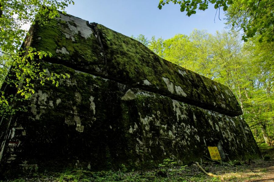Warsaw: Private Full-Day Wolf's Lair Tour - Wolf’s Lair in the woods of Masuria: what you’re really seeing