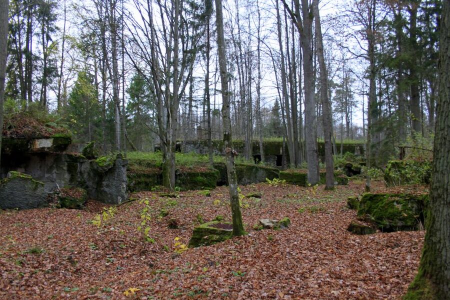 Warsaw: Private Full-Day Wolf's Lair Tour - Your guide matters more than you think