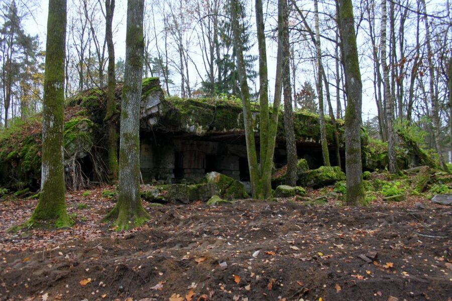 Warsaw: Private Full-Day Wolf's Lair Tour - The 4 to 5 hours of sightseeing: pace it like a pro