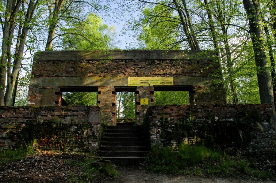 Warsaw: Private Full-Day Wolf's Lair Tour - Lunch included: a simple way to keep the day on track