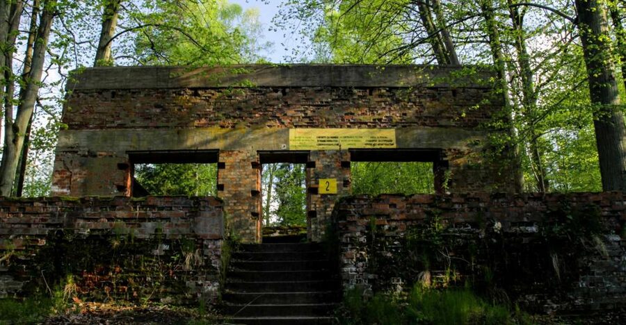 Warsaw: Private Full-Day Wolf's Lair Tour - Price and value: is $382 per person actually fair?