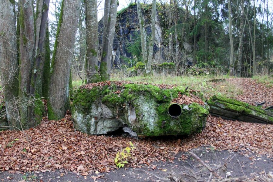 Warsaw: Private Full-Day Wolf's Lair Tour - The long Warsaw to Masuria drive: why the day feels like a journey