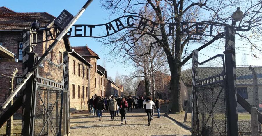 Warsaw: Tour to Krakow and Auschwitz by Train with Pickup - Who This Tour Suits Best, and Who Should Rethink It
