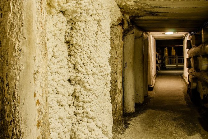Wieliczka Salt Mine from Krakow, Guided Half-Day Tour with Private Transport - Claustrophobic Sections and the Stairs: My Practical Advice
