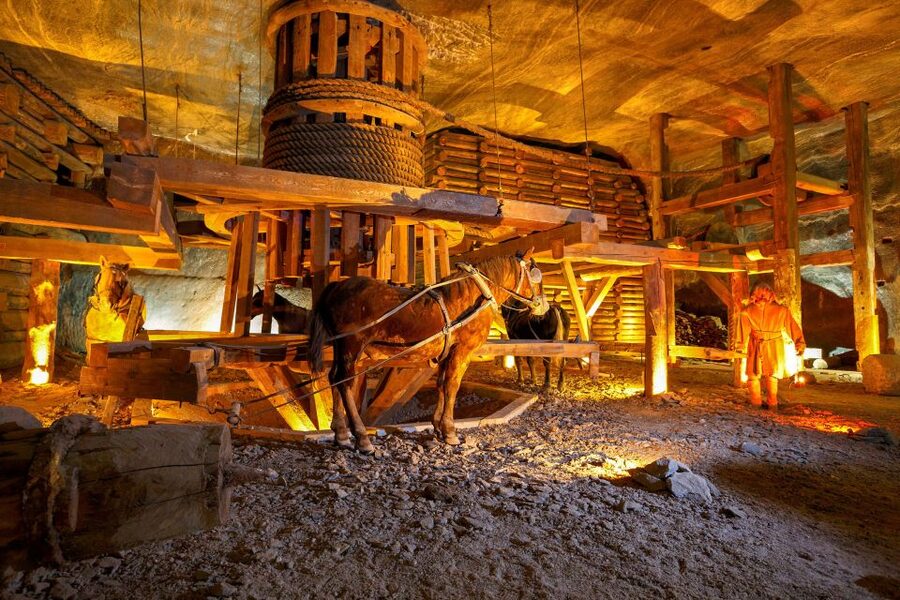Wieliczka Salt Mine Tour from Krakow - Who this tour suits best, and who should plan differently