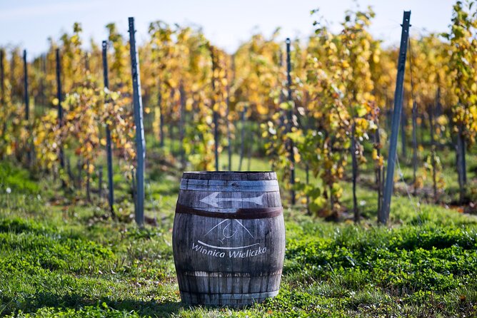 Wieliczka Vineyard: Wine tasting with local snacks - The tasting: four wines plus local seasonal snacks