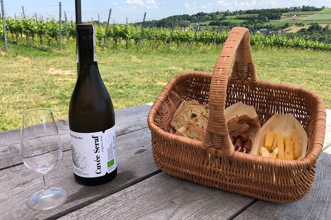 Wieliczka Vineyard: Wine tasting with local snacks - Bad weather plan: winery only (so you still get the experience)