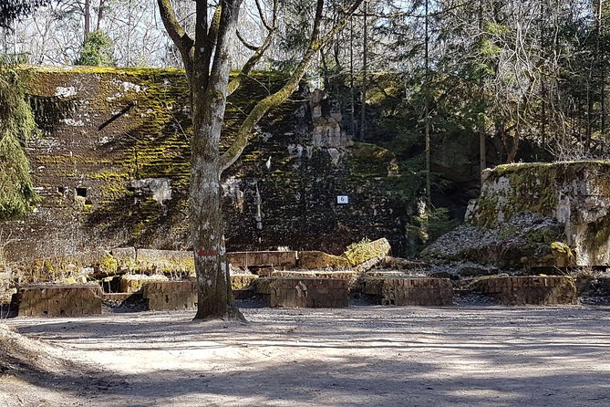 Wolf's Lair & Treblinka Tour in 1 day from Warsaw - Guides Matter More Than You Think on This Route