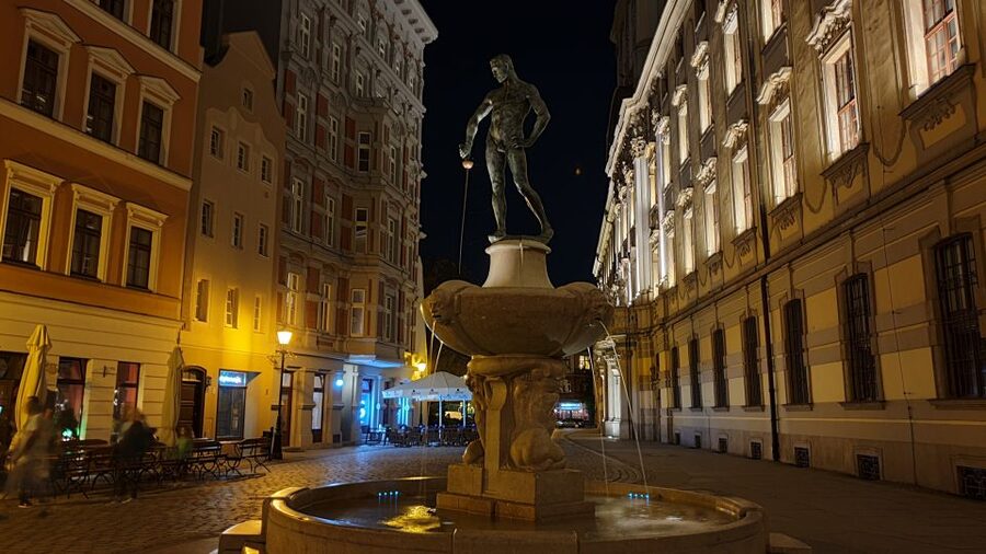 Wroclaw: Guided City Night Tour (2 hours) - The Fencing Fountain and the University area: small stops with meaning