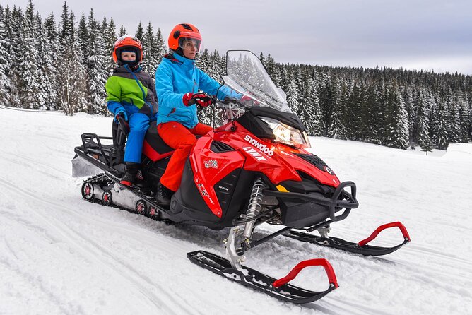 Zakopane: 3 hours Snowmobiles Guided Tour with bonfire and meal - Should You Book This 3 Hour Snowmobile Tour With Bonfire and Meal?
