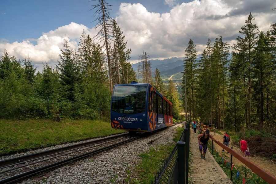 Zakopane and Tatra Mountains Day Tour from Krakow - Driver, timing, and comfort: what matters more than you think