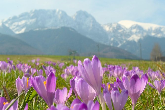 Zakopane and Tatras Mountains Day Tour from Krakow - Price and value: when this tour beats DIY, and when it might not