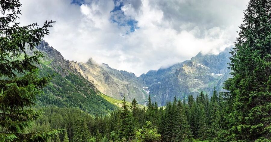 Zakopane: Sightseeing Tour from Krakow - Cottage cheese tasting: a small stop that can be the highlight