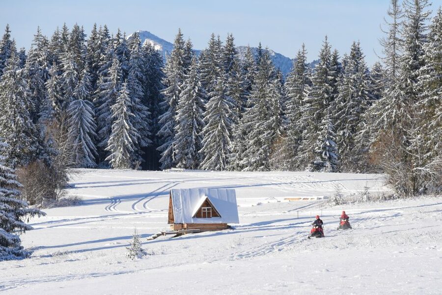 Zakopane: Snowmobiles Expedition and Optional Bonfire - Solo Driver vs Shared: how to plan turns without confusion