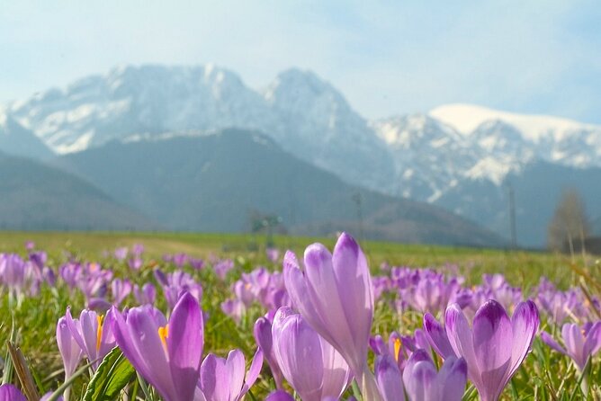 Zakopane & Tatra Mountains - Gubałówka Hill by Funicular: The Best Tatra Views with Minimal Effort