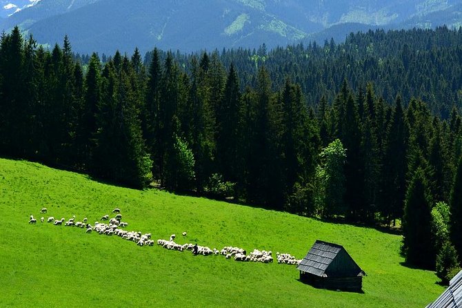 Zakopane Tour from Krakow – Highland Experience & Stunning Views - Krakow to Zakopane: the drive and why it feels fast